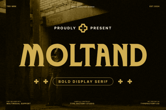 Moltand: A Bold Display Serif for Modern Web Design