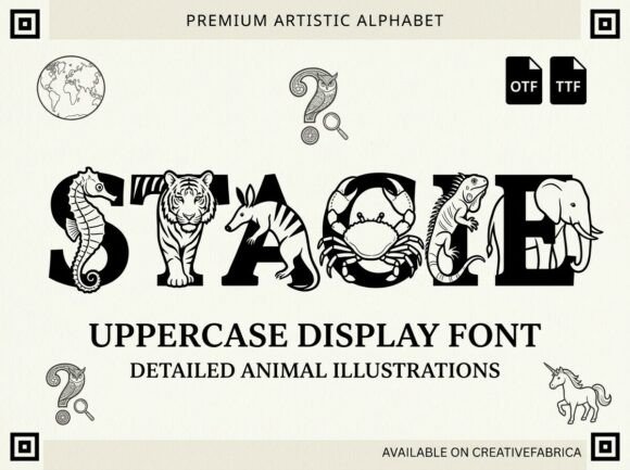Stacie Display Typeface Review for Campaign Design