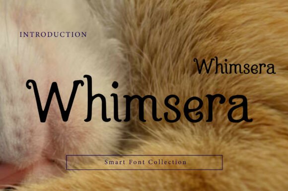 Whimsera Typeface Review: A Whimsical Serif for Storybook Branding